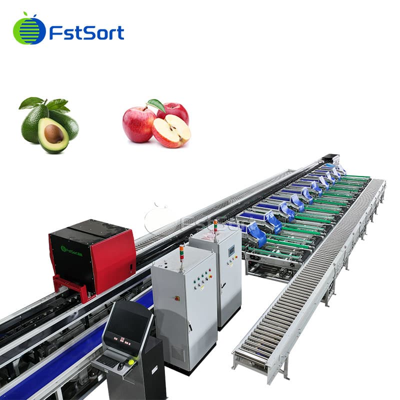 images/1772073683828apple optical sorting packing machine.jpg